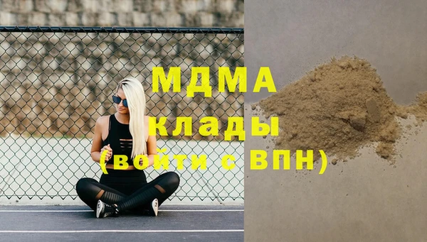 spice Бородино